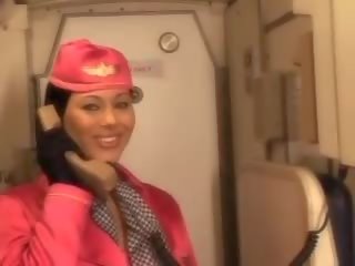 Marvelous air hostess sucking pilots big shaft