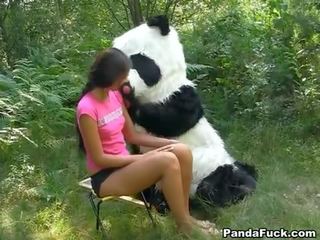 X ocenjeno video v na gozdovi s a velika igrače panda
