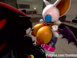 Rouge och shadow (commission: jimmythereptile)