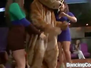 Dancingcock mare peter iubește