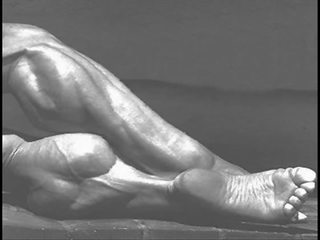 Női testépítés fbb testépítő izom művészet