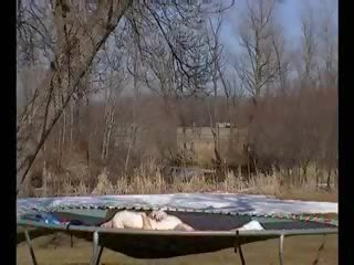 Backyard trampoline dirty video